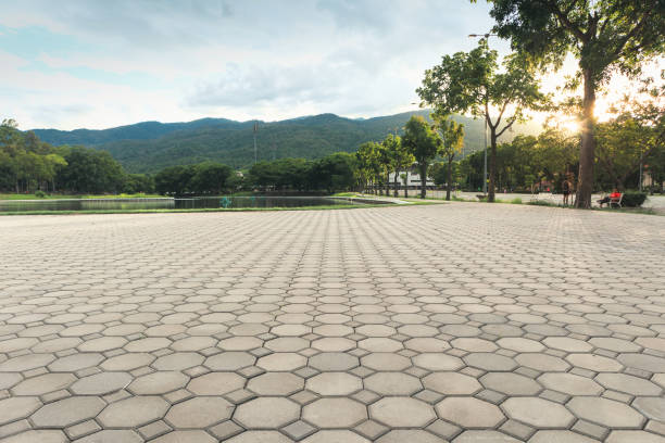Best Custom Driveway Pavers  in Badin, NC
